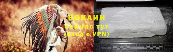 прущие грибы Навашино