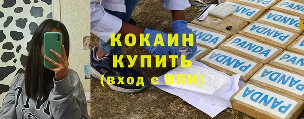 прущие грибы Навашино