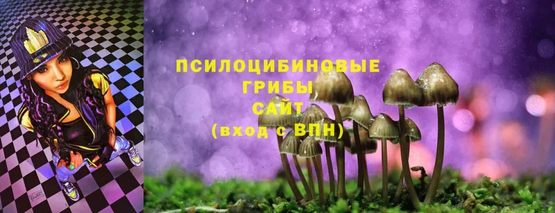 Галлюциногенные грибы MAGIC MUSHROOMS  Катайск 